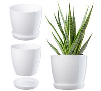 Maceta KADAX, macetero con posavasos, macetero redondo, 23 cm, blanco)