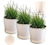 Maceta KADAX, una maceta para flores con posavasos