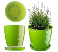 Maceta KADAX, Una maceta para flores y plantas con posavasos, 25cm, Verde