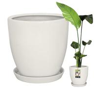 Maceta KOTARBAU® con platillo Blanco ⌀ 31 cm Altura: 30 cm Maceta cerámica vidriada Maceta Grande Maceta de Cactus Macetas macetas