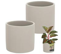 Maceta KOTARBAU® de cerámica cilíndrica Grande, Estilo étnico, 16 cm de diámetro y 15 cm de Altura. Incluye 2 Unidades. Maceta de cerámica con Aspecto de hormigón, Maceta pequeña de cerámica.