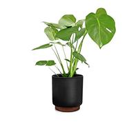 Maceta, macetas de 10 pulgadas para interiores, macetas blancas para plantas de interior, se adapta a soportes modernos de mediados de siglo, tapón de drenaje y base de madera, poliéster, negro mate