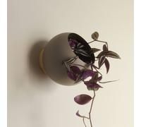 Maceta mural AYTM Globe, Ø 17 cm, gris-marrón, aluminio