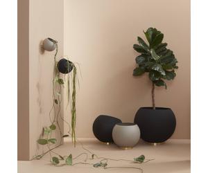 Maceta mural AYTM Globe, Ø 21 cm, negra, aluminio