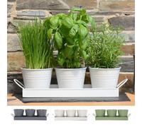 Maceta para hierbas plantas de interior, bandeja - Lote de 3 crecer hierbas frescas en casa - Jardineras alféizar de la ventana, cocina para albahaca menta y perejil, flores con bandeja de goteo Meta