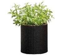 Maceta para planta Samui (Dimensiones externas (Ø x Al): 28 x 28 cm, Plástico, Marrón)