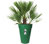 Maceta redonda Verde 34x46cm 23L