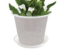 Maceta transparente para orquídeas con platillo, contenedor transpirable | Disponible en diámetros de 4.33in / 11 cm, 5.51in / 14 cm y 6.3in / 16 cm, construcción de material ABS duradero