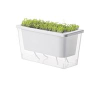 Macetas con Riego Automático para Plantas de Exterior | Contenedor plantación rectangular estrecho | Macetero para verduras balcón | Para verduras, apartamento, jardín, patio, hogar, alfeizar y fruta
