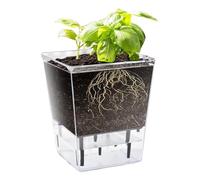 Macetas de autorriego - Maceta transparente de 5.9 pulgadas | Con de depósito de agua, maceta decorativa para interiores con agujeros de ventilación para orquídea, rosa, violeta, vainilla, uso