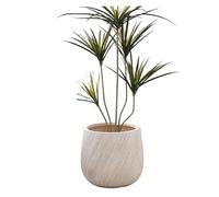 macetas de Interior Decorative Clay Flower Pots, Perfect For The Living Room: Pair Them with Minimalist-Style Houseplants(Blanco,Medio)