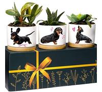Macetas de Perro Salchicha, Regalos de Perro Salchicha para Mujeres y Hombres, Regalos Amantes de los Perros, Regalos de Perro Weiner para Mujeres, Gran Regalo para los Amantes de