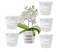 Macetas de Plástico Transparente,con Maceta de Plástico de Estomas,Ligera y Resistente,Maceta de Plástico con Agujeros de Aire para Jardinería en Casa, para Plantar Plantas en Macetas en Jardines