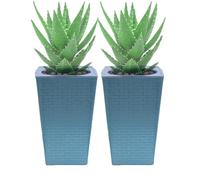Macetas de riego automático, maceta de orquídeas, macetas para el hogar, oficina, apartamento, jardín, escritorio, balcón, patio, cocina, principiantes, sala de estar, dormitorio, alféizar de ventana