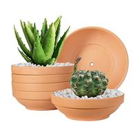 Macetas de Terracota Laergin de 6.43 Pulgadas Poco Profundas de Arcilla de Terracota con Agujero de Drenaje, macetas de cerámica para Interiores y Exteriores (Paquete de 6)