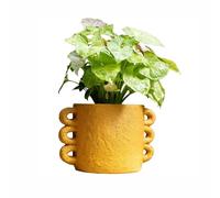 Macetas Flowerpot Nordic Style Cement Flower Pots Indoor Plant Stand For Plants Orchid Pot Decoración primaveral