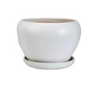 Macetas grandes de cerámica de color degradado con bandeja, bonita flor redonda para interiores y exteriores, cultivo de plantas suculentas y verdes (blanco pequeño)