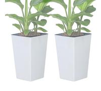 Macetas interiores autoriegables - 2 macetas de aloe - Maceta para exteriores | para casa, apartamento, jardín, escritorio, balcón, terraza, cocina, principiantes, salón, dormitorio, alféizar de la