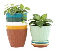 Macetas para Flores | Lote de 6 Macetas para Orquídeas y Suculentas | Maceteros de Interior | para Hogar, Cocina, Baño, Dormitorio, Balcón, Patio, Alféizar, Invernadero y Decoración de Vacaciones