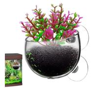 Macetas para Plantas Acuáticas, Ventosa Taza para Plantas Acuáticas - Maceta Viva para Tanque de Acuario - Soporte para pecera con Plantas vivas de camarón Rojo, Maceta para Plantas vivas para Tanque