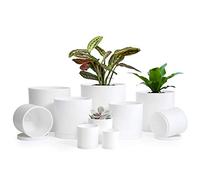 Macetas pequeñas de jardín (6.5, 6, 5.5, 5, 4.5, 4.5, 4, 3.5, 3, 2.5 Pulgadas, 2 Pulgadas), Juego de 10 macetas de plástico para suculentas con Orificio de Drenaje y platillo, macetas para suculentas