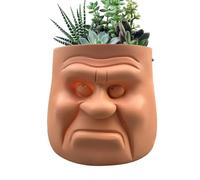 Macetas suculentas, maceta de cabeza de maceta para maceta de cara - Tarro de cara divertido Humano - Olla de maceta de cabeza divertida Humana, maceta de resina para hierbas,
