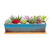 Macetas suculentas rectangulares de 12 pulgadas de largo con bandejas de drenaje, macetas grandes de cerámica con cactus para plantas de interior/exterior, caja de ventana de bonsái poco profunda