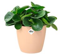 Macetero Bruselas melocotón 14x13cm 1,4L redondo plantas