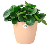 Macetero Bruselas melocotón 18x17cm 3,3L redondo