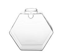 Macetero Colgante Macetero de Cristal Macetero Colgante de Cristal Contenedor de Plantas (Maleficio)