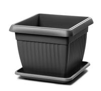Macetero con plato para plantas y flores, Terra DKWT19-PKWT17 H16, interior, exterior, cuadrado, negro, 3,5 litros, 19 x 19 x 16 cm, diseño clásico, de plástico, para balcón, gris antracita