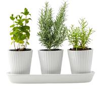 Macetero de hierbas, 3 piezas de maceta de cerámica con bandeja, kit de cultivo de hierbas antideslizante para interiores con drenaje de grano vertical ventilado, macetas de 3, 4 x, 7 pulgadas para p