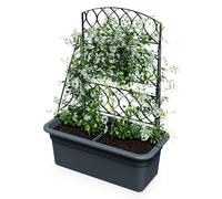 Macetero de plástico antracita con enrejado - 80 x 59 cm - Jardín con ayuda para escalar - Pérgola con enrejado - Macetero para tomates, pepinos, plantas trepadoras