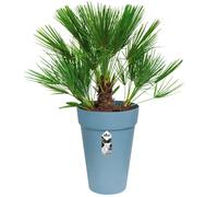 Macetero jardín Azul 42x56cm 45L redondo plantas flores