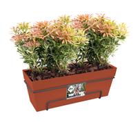 Macetero jardín terracota 49x26,5x20,5cm 11,5L incl soporte