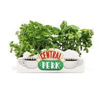 Macetero Mesa Friends Central Perk - Macetero cerámica - Macetero Original - Decoración hogar Friends - Jarrón Pared - Licencia Oficial