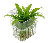Macetero para bañera de peces, maceta colgante bicicleta transparente | Cesta para plantas acuáticas | Para cultivo interior doméstico y decoración para oficina y bañera para peces e hidropónicos