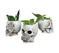 Macetero suculento | 3 macetas de resina con cabeza de calavera, maceta creativa para caramelos, maceta de flores, maceta divertida para plantas para decoración gótica