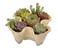 Macetero vertical de jardín - Macetas apilables 38 x 17 cm, sistema de drenaje antideslizante | Contenedores para interiores y exteriores, para patio, granja, terraza, balcón, césped, hogar, ahorro de