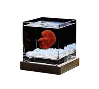 Maceteros para Pecera Acuario cuadrado de vidrio translúcido alto, pecera especial for peces luchadores con tapa, pecera tropical, florero hidropónico, florero de escritorio, peceras pequeñas Decorati
