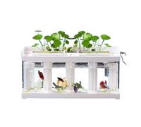 Maceteros para Pecera Pecera de acrílico Transparente de 4 Compartimentos for cría de Peces Marinos, Tanque Especial for Peces Luchadores creativos con Cubierta Blanca Decorativo