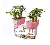 Maceteros para Pecera Tanque de Peces acrílico Transparente, Tanque de Tortuga, pequeño Tanque ecológico for acuarios, bonsái, Adornos de Escritorio Decorativo(Medio)