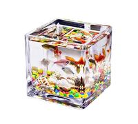 Maceteros para Pecera Tanque de Peces Cuadrado de Vidrio, Tanque de Acuario Transparente Engrosado, encimera, Tanque pequeño for el hogar, acuarios, Tanque de Tortuga ecológico Decorativo(Pequeño)