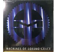 Machines of Loving Grace - Rite of Shiva [Vinilo]