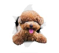 MACMRD Pegatinas De Coche Pegatina De Coche De Perro Caniche Marrón Sonriente para Pared De Coche, Baño, Habitación De Niños, Equipaje, Monopatín, Pegatina para Ordenador Portátil, Accesorios para Co