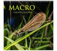 Macro Photo Cachée de la Nature (Calendrier mural carré 2026 30 x 60 cm (ouvert)) Calendrier double avec une page pour vos prises de notes