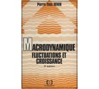 Macrodynamique Fluctuations Et Croissance (ebook)