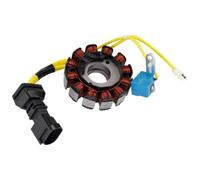 MAD HORNETS 12-Pole Generator Stator Magneto Apto para Yamaha FZ25