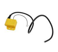 Mad Hornets CDI Unit Ignition Coil Apto para Aprilia RS RX MX AF1 50 Apto para Derbi Senda 50 Apto para Gilera RCR SMT 50 Apto para Yamaha TZR50