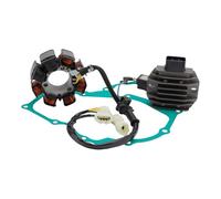 Mad Hornets Generator Stator Regulator Rectifier Gasket Kit Apto para Honda TRX250TM TRX250TE Recon 250 2005-2020 OEM 31120-HM8-B00 31120-HM8-B01 31600-HM8-B00 11395-HM8-A40